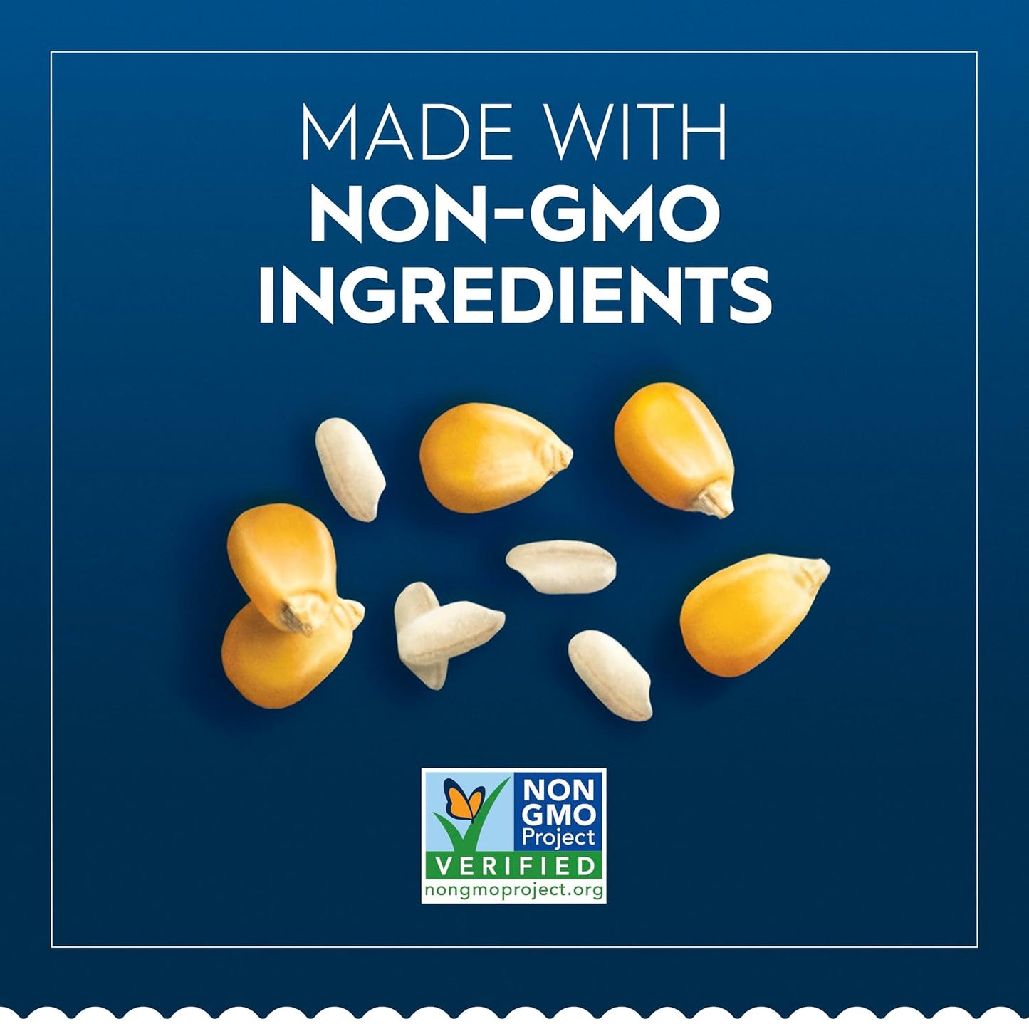 BARILLA Gluten Free Spaghetti, 12 Ounce - Non-Gmo Gluten Free Pasta Made with Blend of Corn & Rice - Vegan Pasta