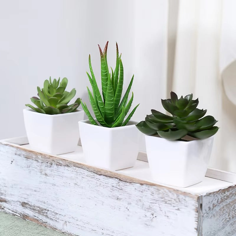 3PCS Artificial Evergreen Plant Bonsai, Suitable For Home, Restaurant, Office, Desktop, And Window Sill Decoration