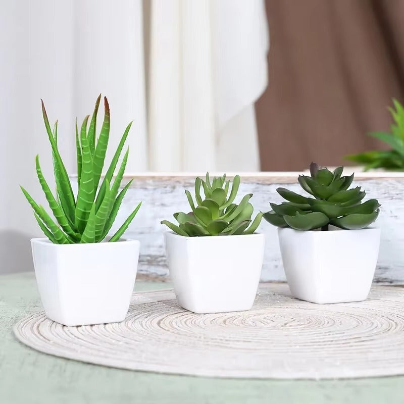 3PCS Artificial Evergreen Plant Bonsai, Suitable For Home, Restaurant, Office, Desktop, And Window Sill Decoration