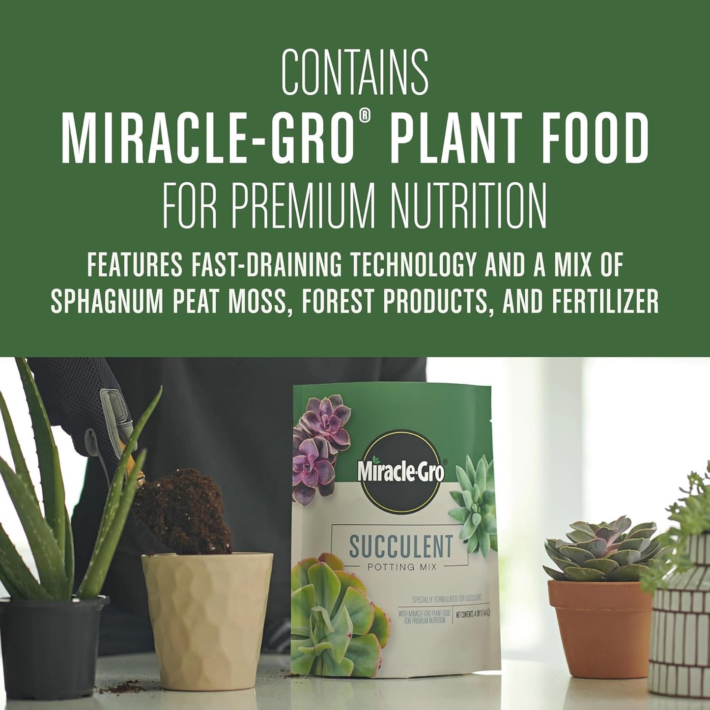 Succulent Potting Mix, for Indoor Succulents, Aloe Vera and More, Made with  Plant Food, 4 Qt
