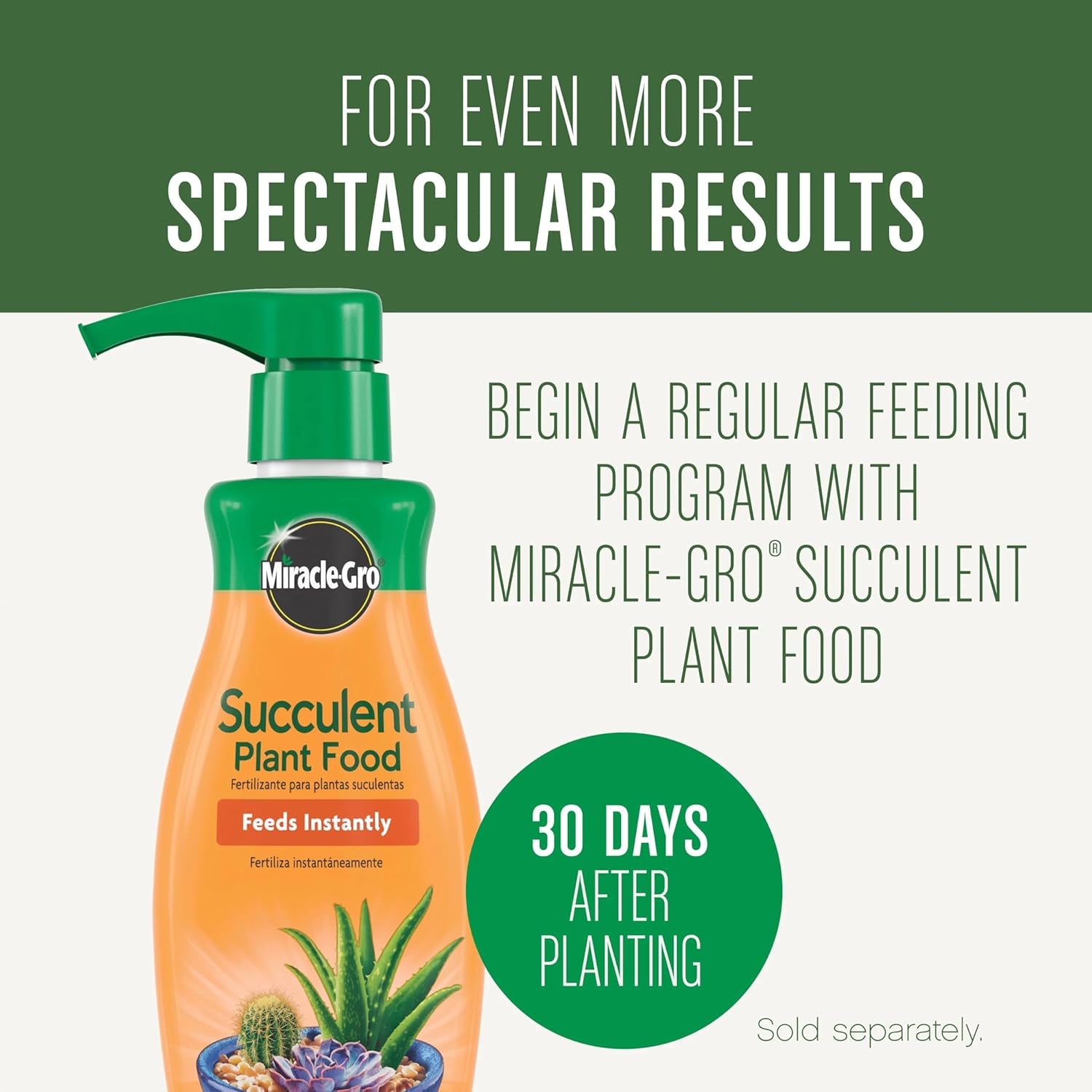 Succulent Potting Mix, for Indoor Succulents, Aloe Vera and More, Made with  Plant Food, 4 Qt