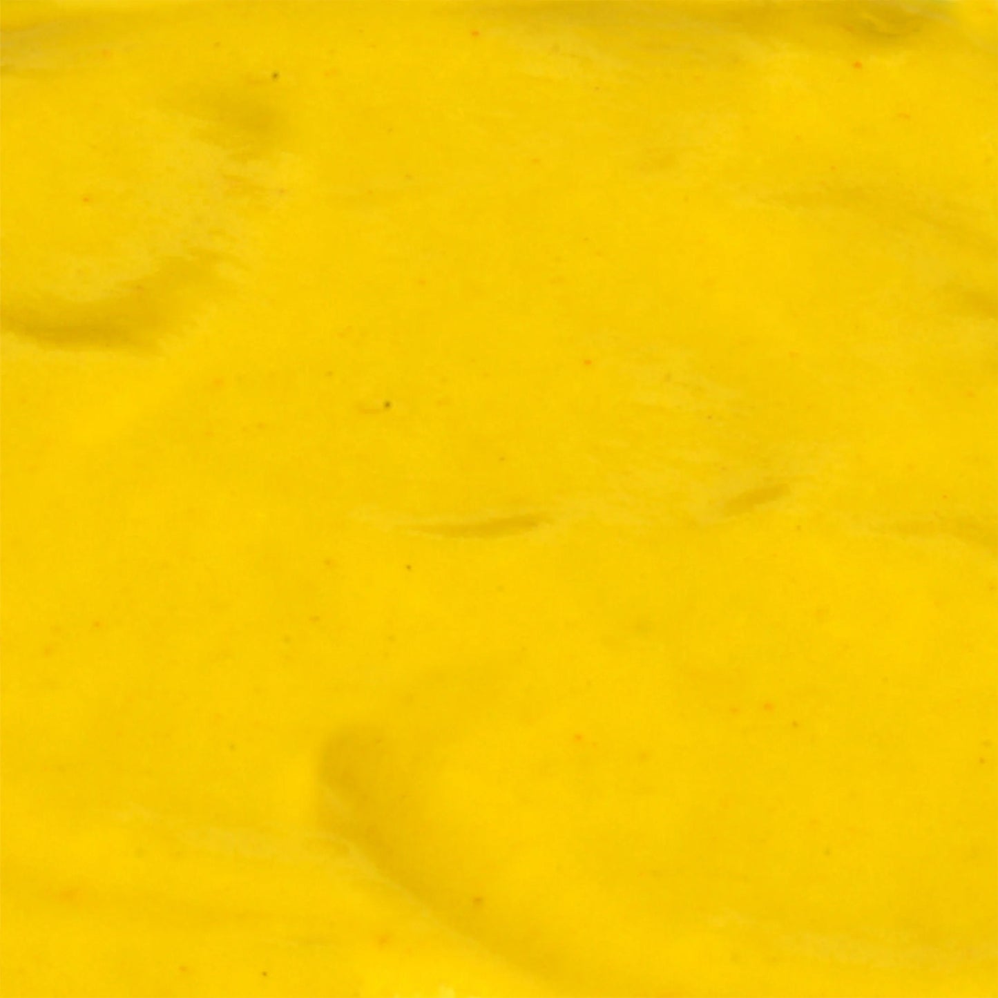 No Artificial Flavors Gluten Free Classic Yellow Mustard, 8 Oz Bottle