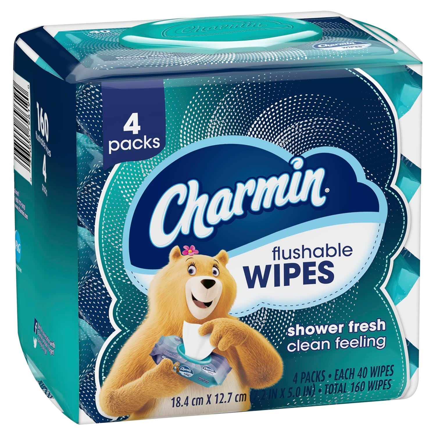 Flushable Wipes, 160 Total Wipes (4 Packs of 40)