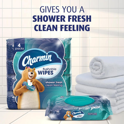 Flushable Wipes, 160 Total Wipes (4 Packs of 40)