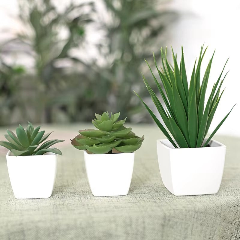 3PCS Artificial Evergreen Plant Bonsai, Suitable For Home, Restaurant, Office, Desktop, And Window Sill Decoration